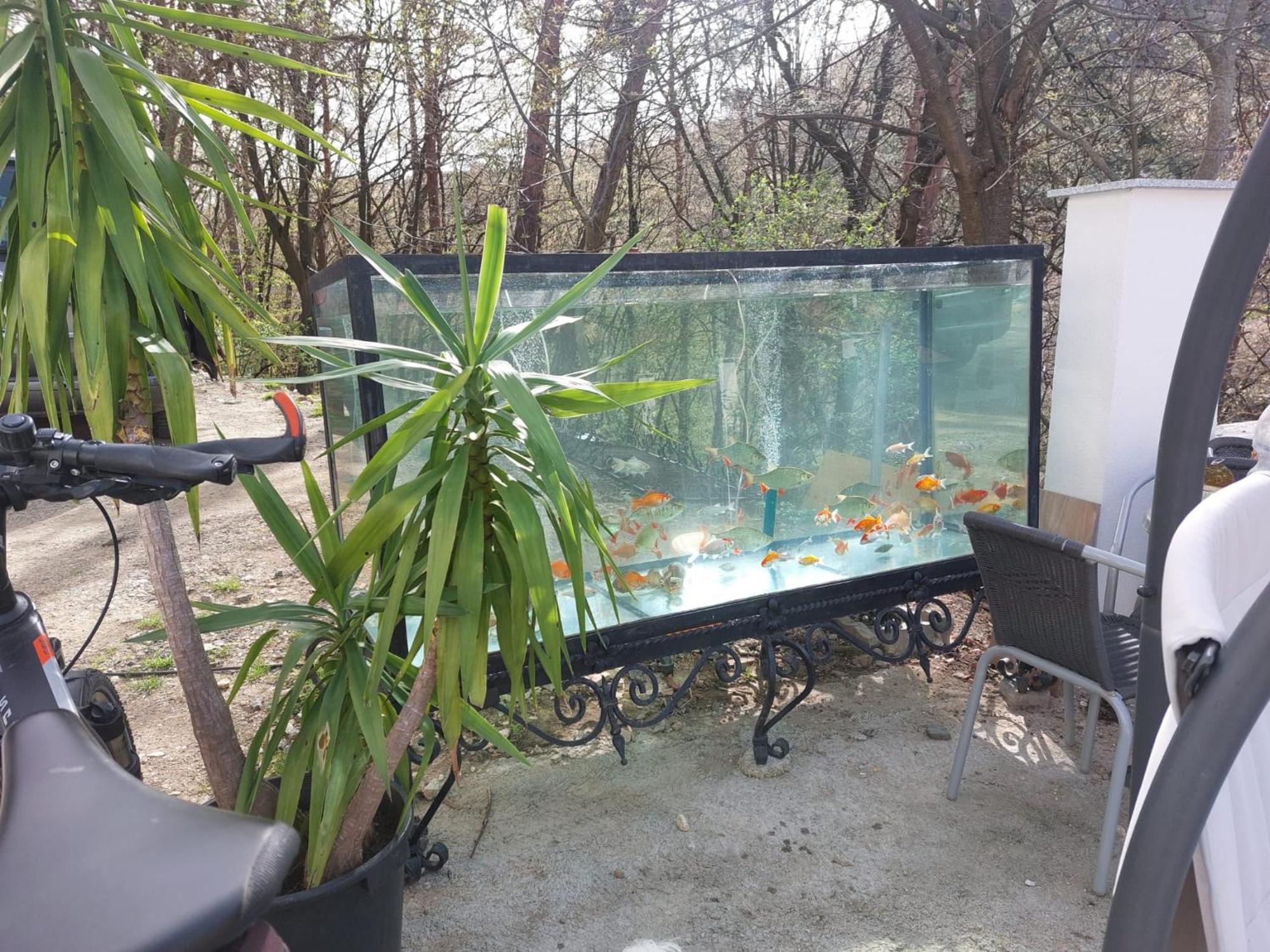Gaestehaus Coco Krems an der Donau Ngoại thất bức ảnh